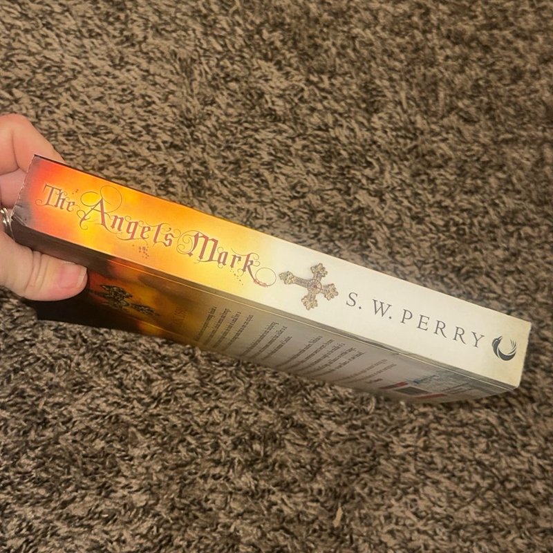 The Angel's Mark by S. W. Perry