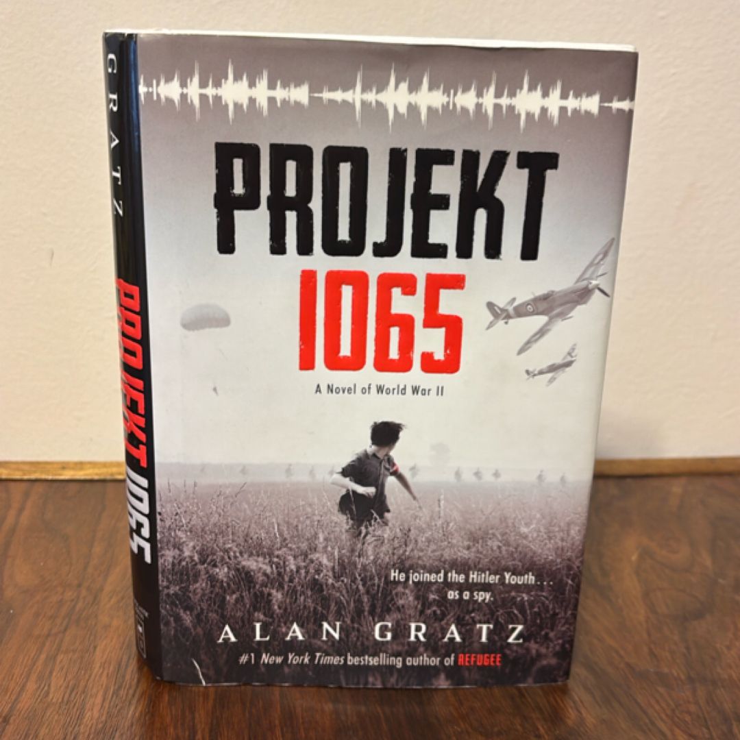 Projekt 1065