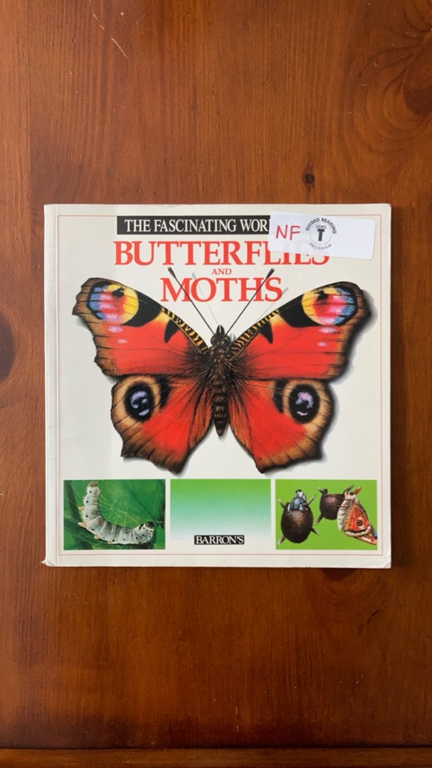 The Fascinating World of Butterflies