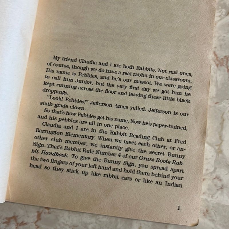 Sixth-Grade Sleepover