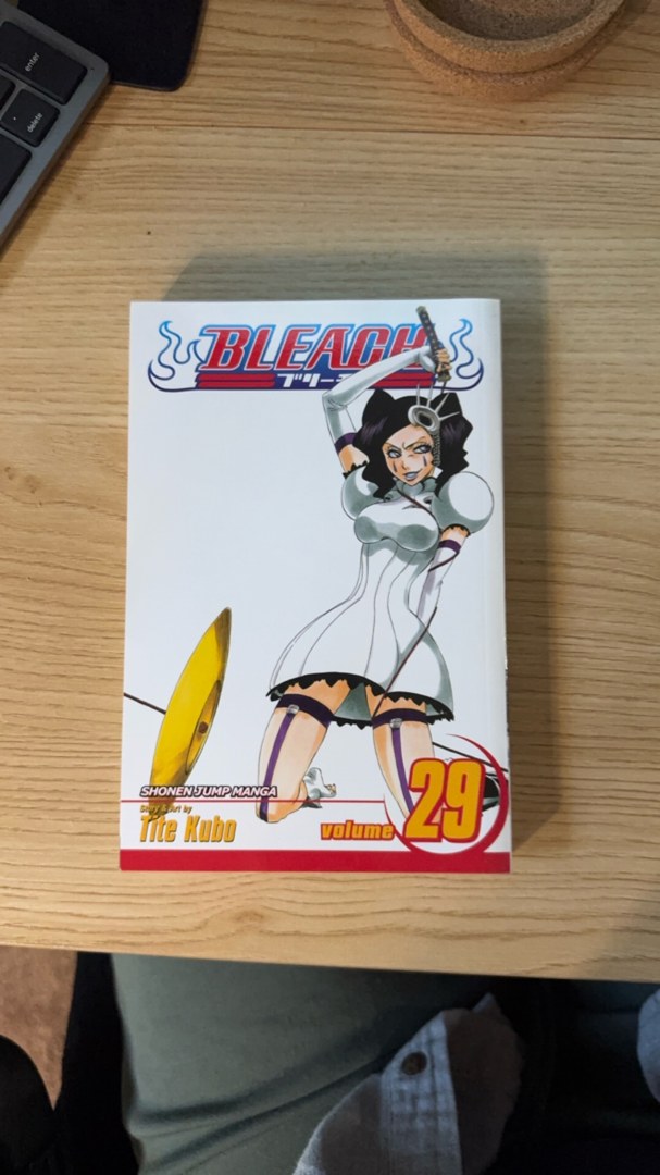 Bleach, Vol. 29
