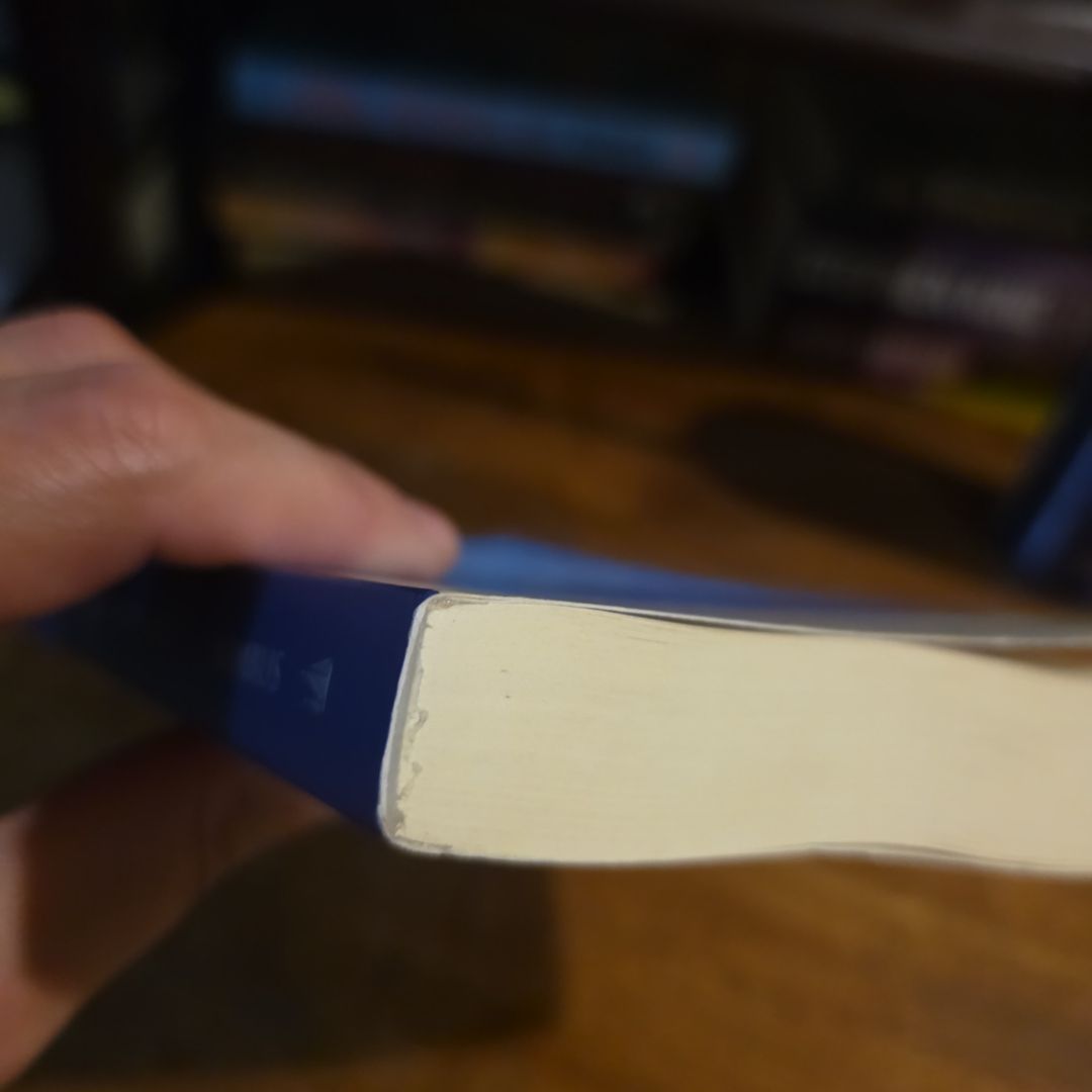 Sailing Alone Around the World