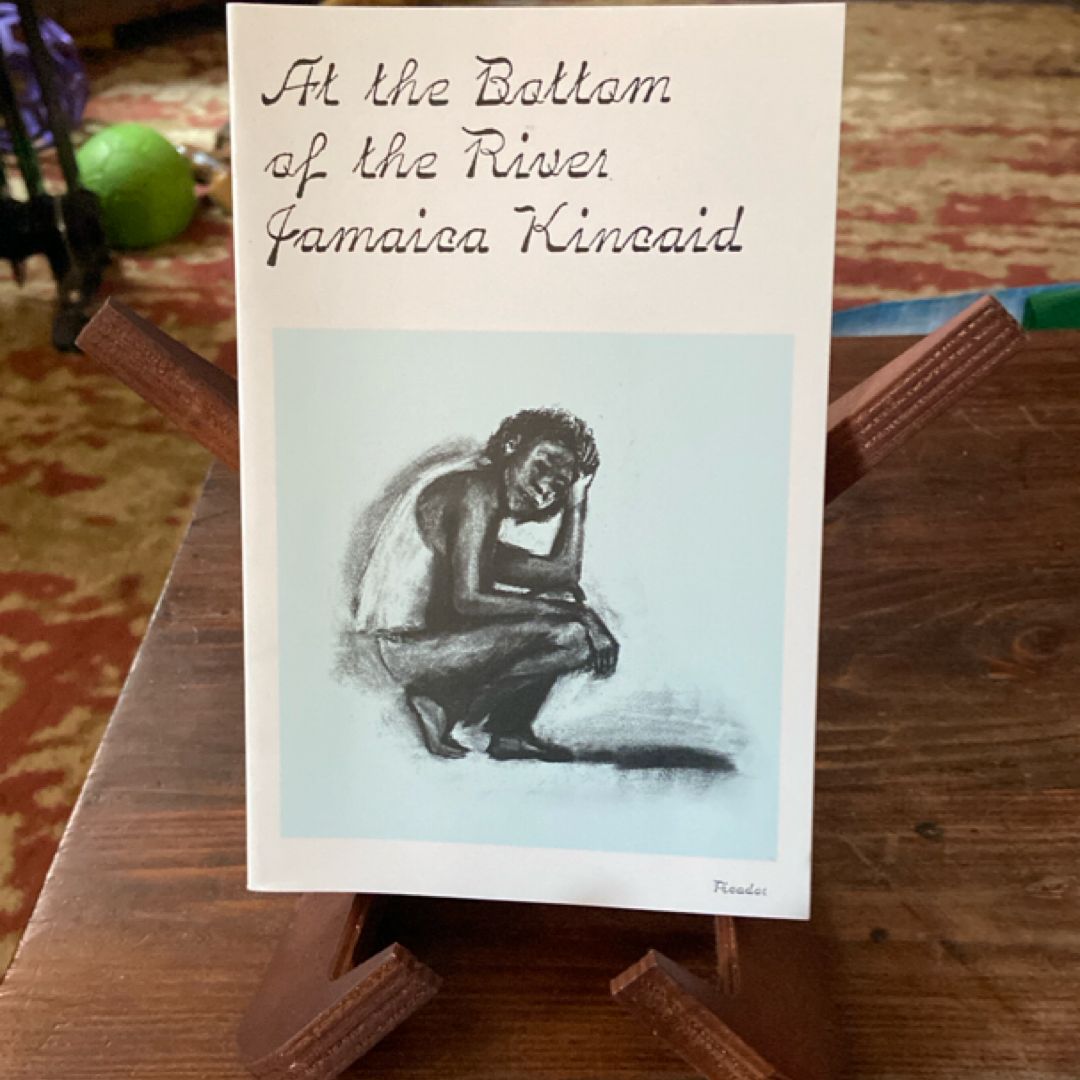 At the Bottom of the River