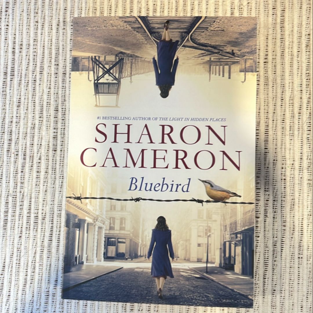 Sale image for 054b4c7b-737b-476e-bbf3-aeb257b568da-K5IbYTlke1U5LgEOLgMJUrcXCHE3
