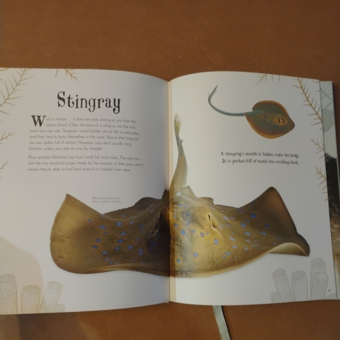 An Anthology of Intriguing Animals