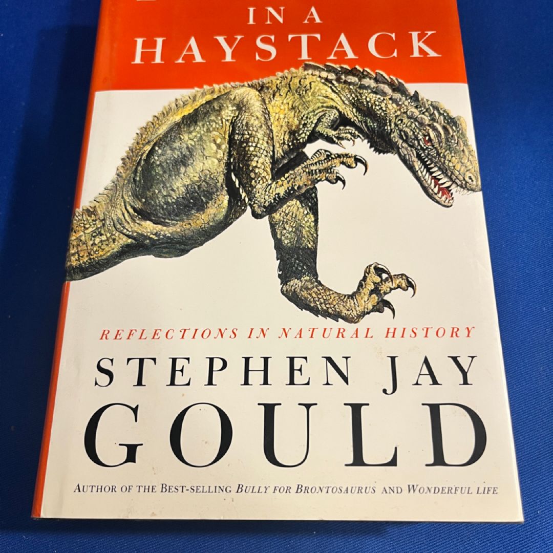 Dinosaur in a Haystack