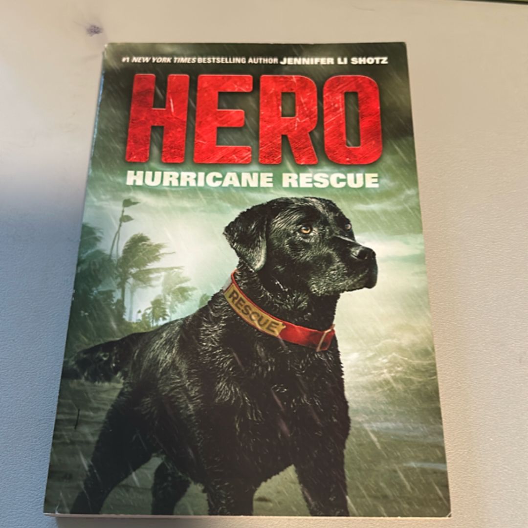 Hero: Hurricane Rescue