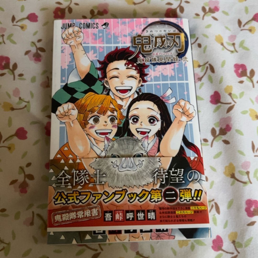 Kimetsu no Yaiba Fanbook 2 (Japanese edition)