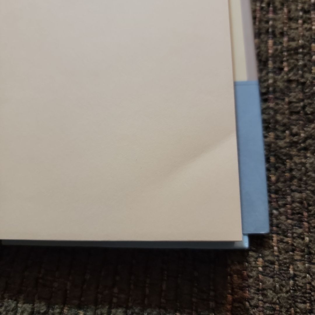 The Flying Troutmans