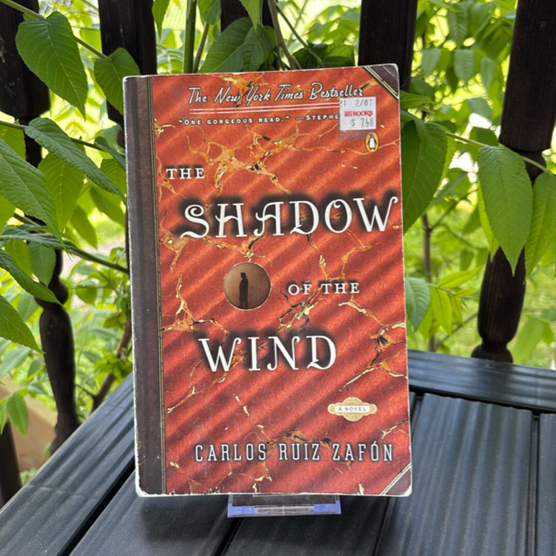The Shadow of the Wind