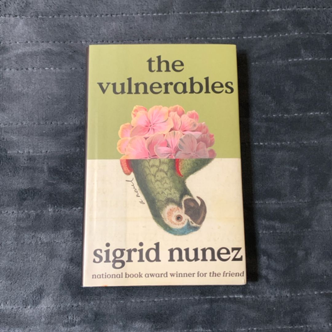 The Vulnerables (new)