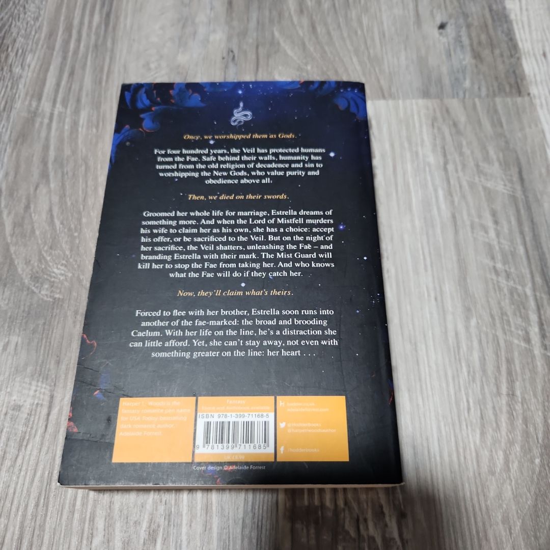 What Lies Beyond the Veil by Harper L. Woods, Paperback | Pangobooks
