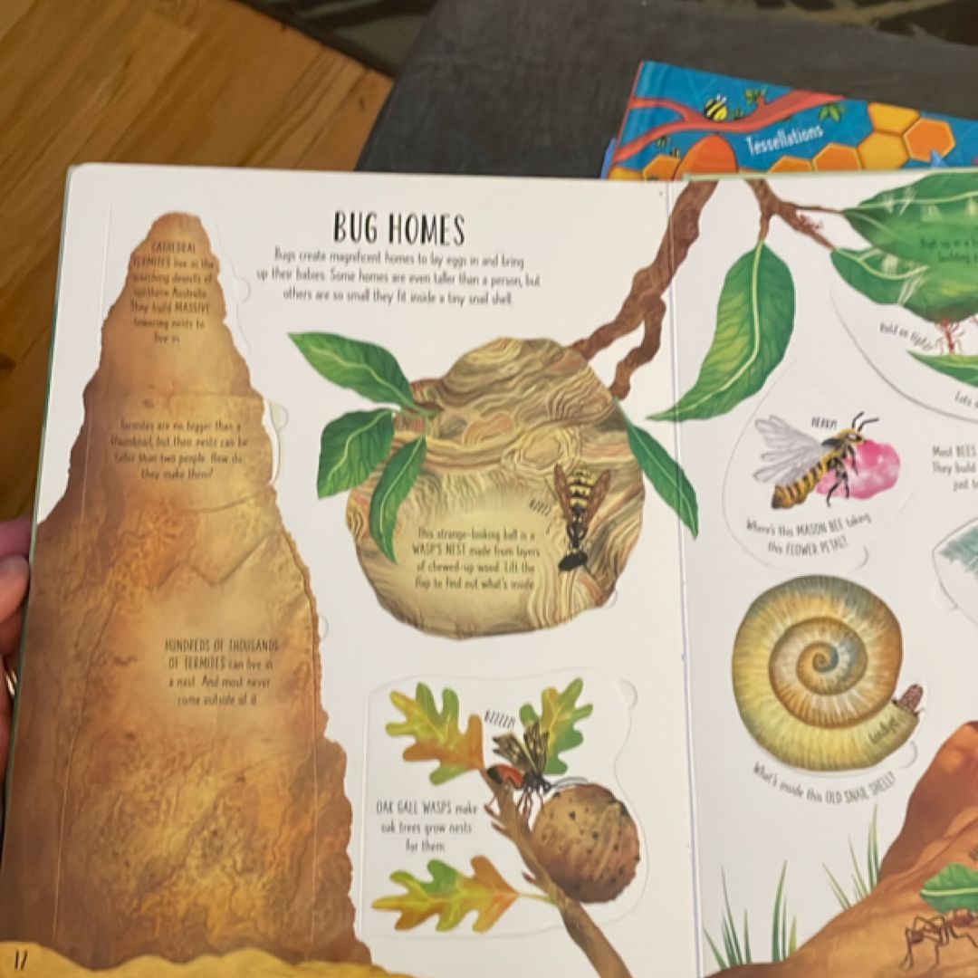 Lift-The-Flap Bugs and Butterflies IR