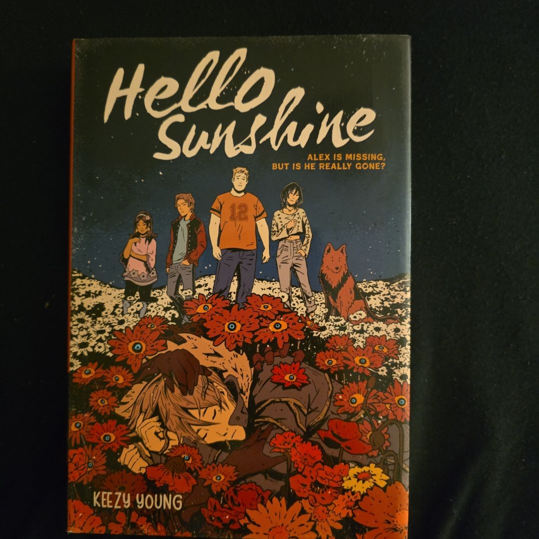 Hello Sunshine (a Graphic Novel)