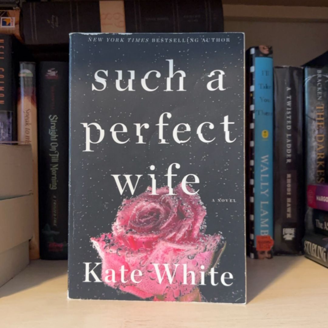 Such a Perfect Wife