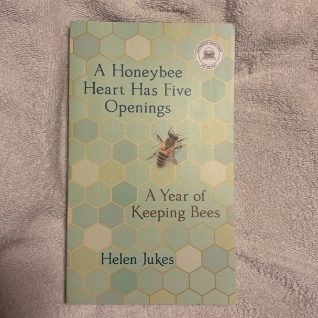A honeybee heart has five openings: a year of keeping bees