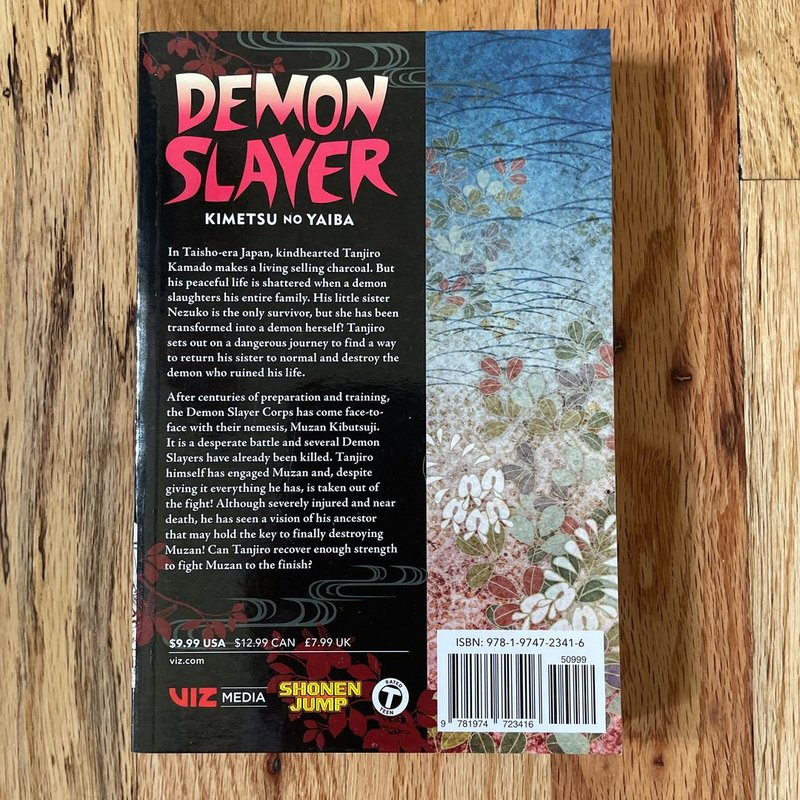 Demon Slayer: Kimetsu No Yaiba, Vol. 22