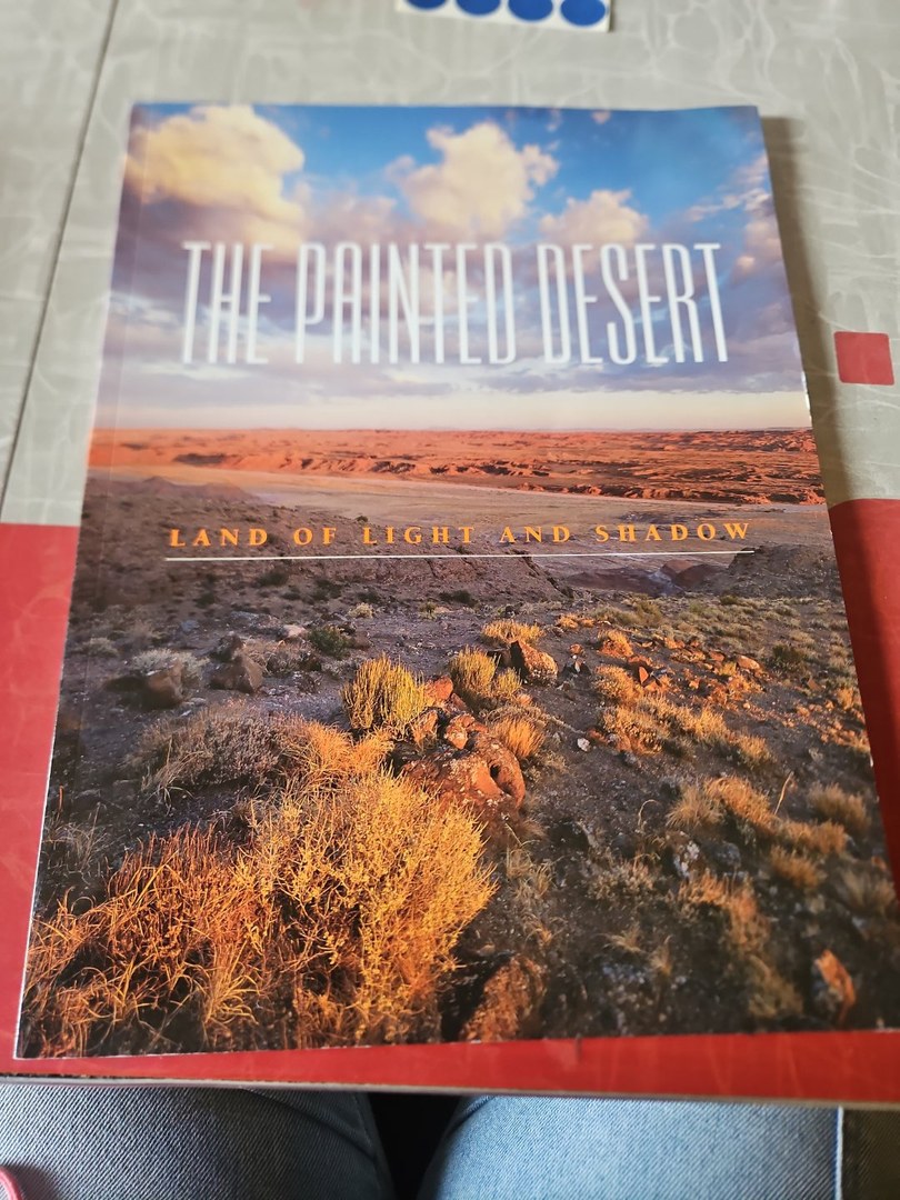 The Painted Desert