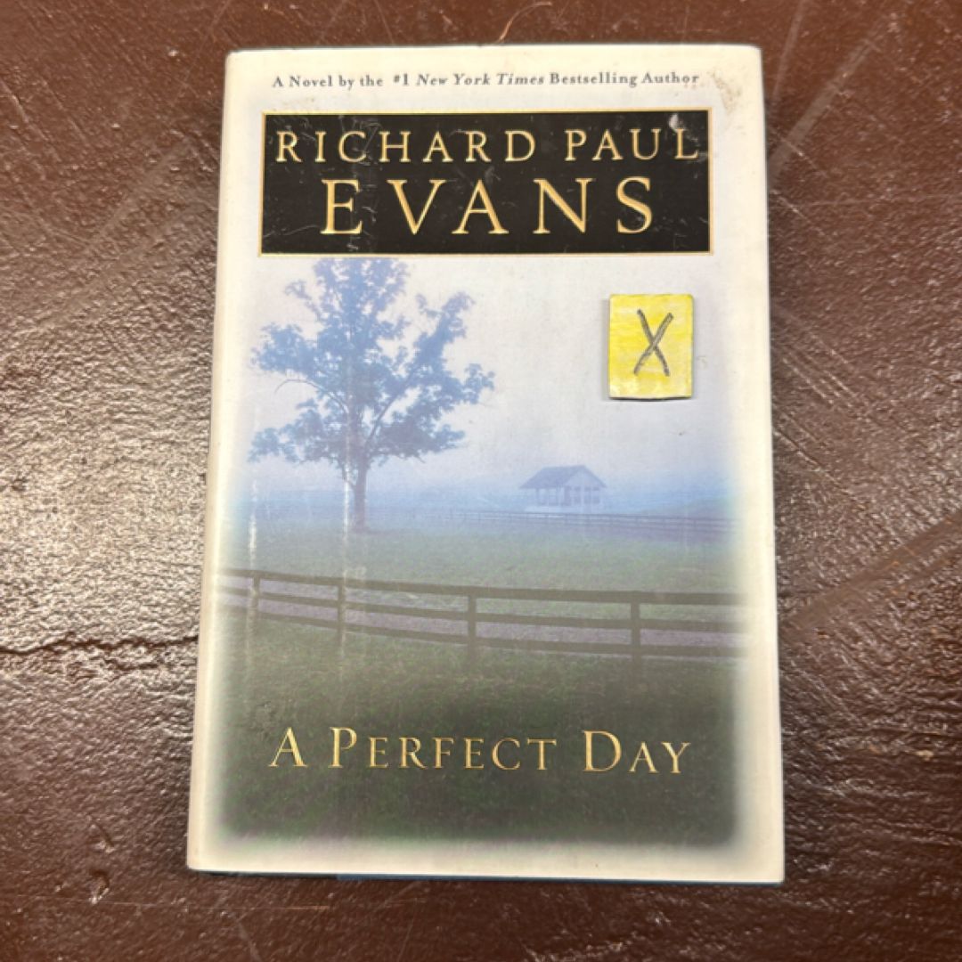 A Perfect Day