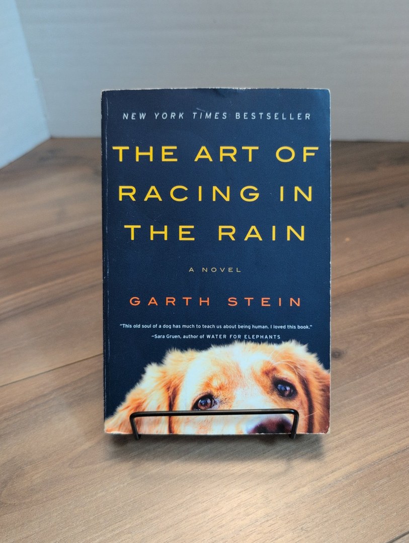 The Art of Racing in the Rain