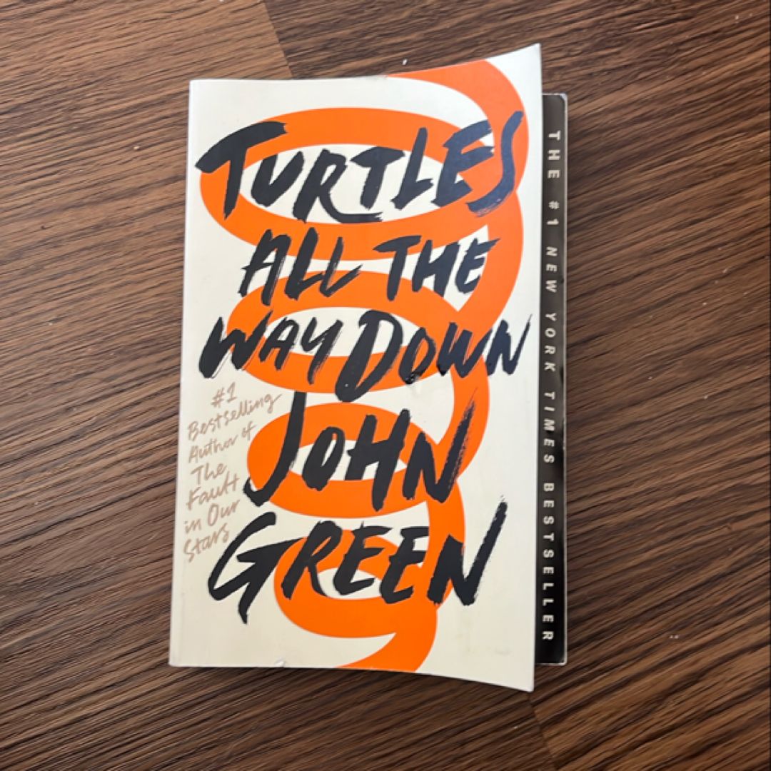 Turtles All the Way Down
