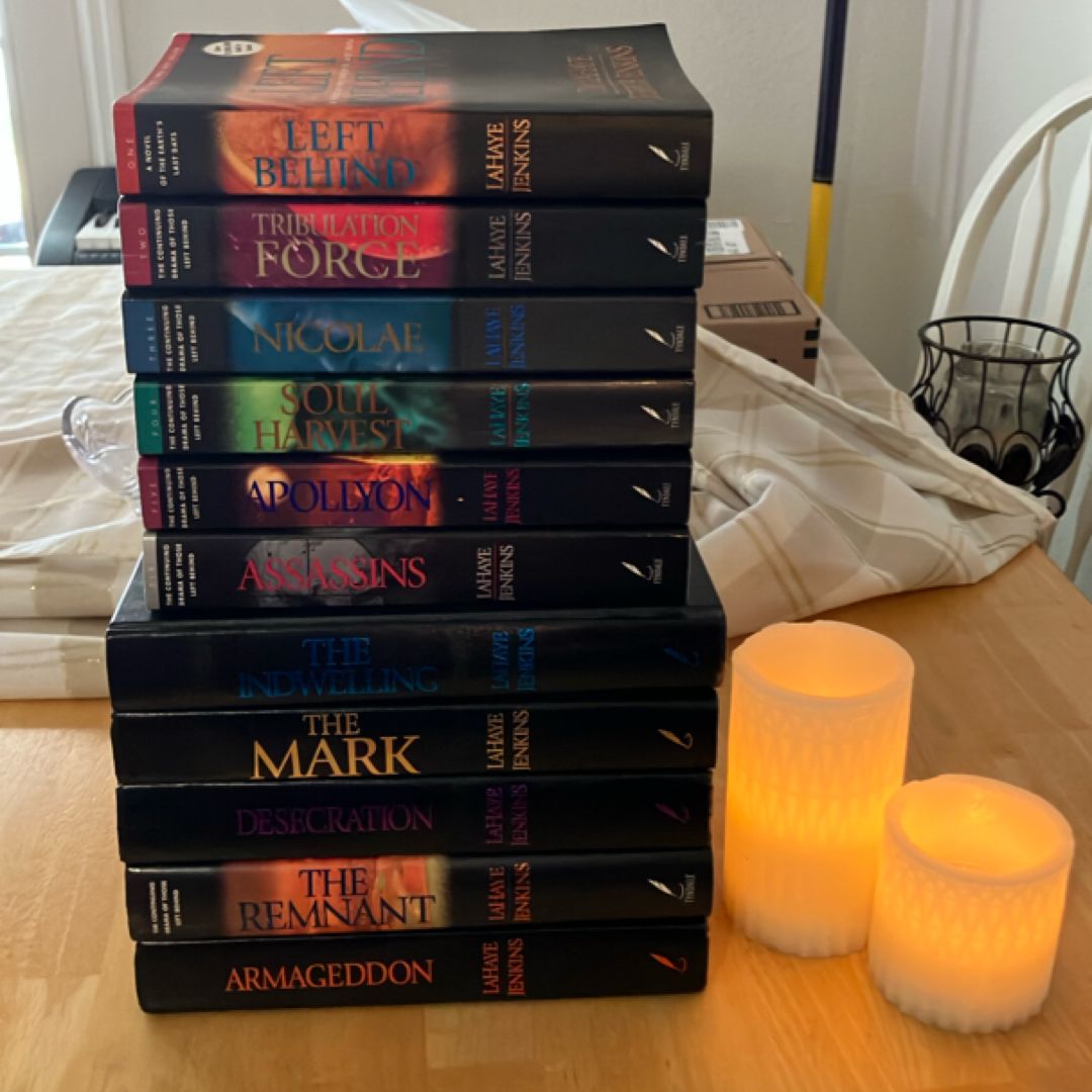 Left Behind, Tribulation Force, Nicolae, Soul Harvest, Apollyon, Assassins, The Indwelling, The Mark, Desecration, The Remnant, and Armageddon series (11 book bundle)