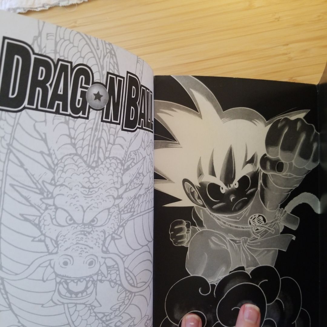 Dragon Ball Z (VIZBIG Edition), Vol. 1