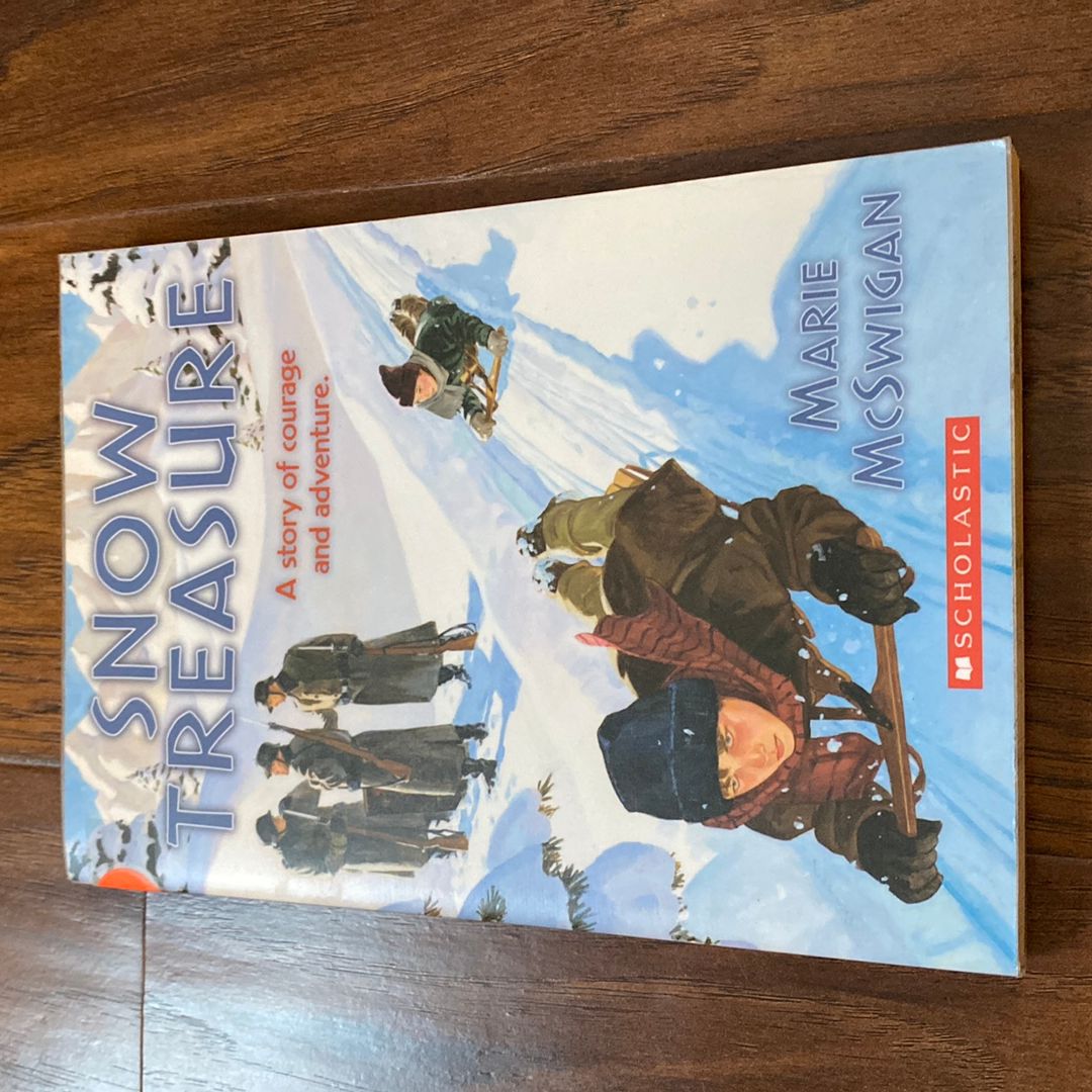Snow Treasure