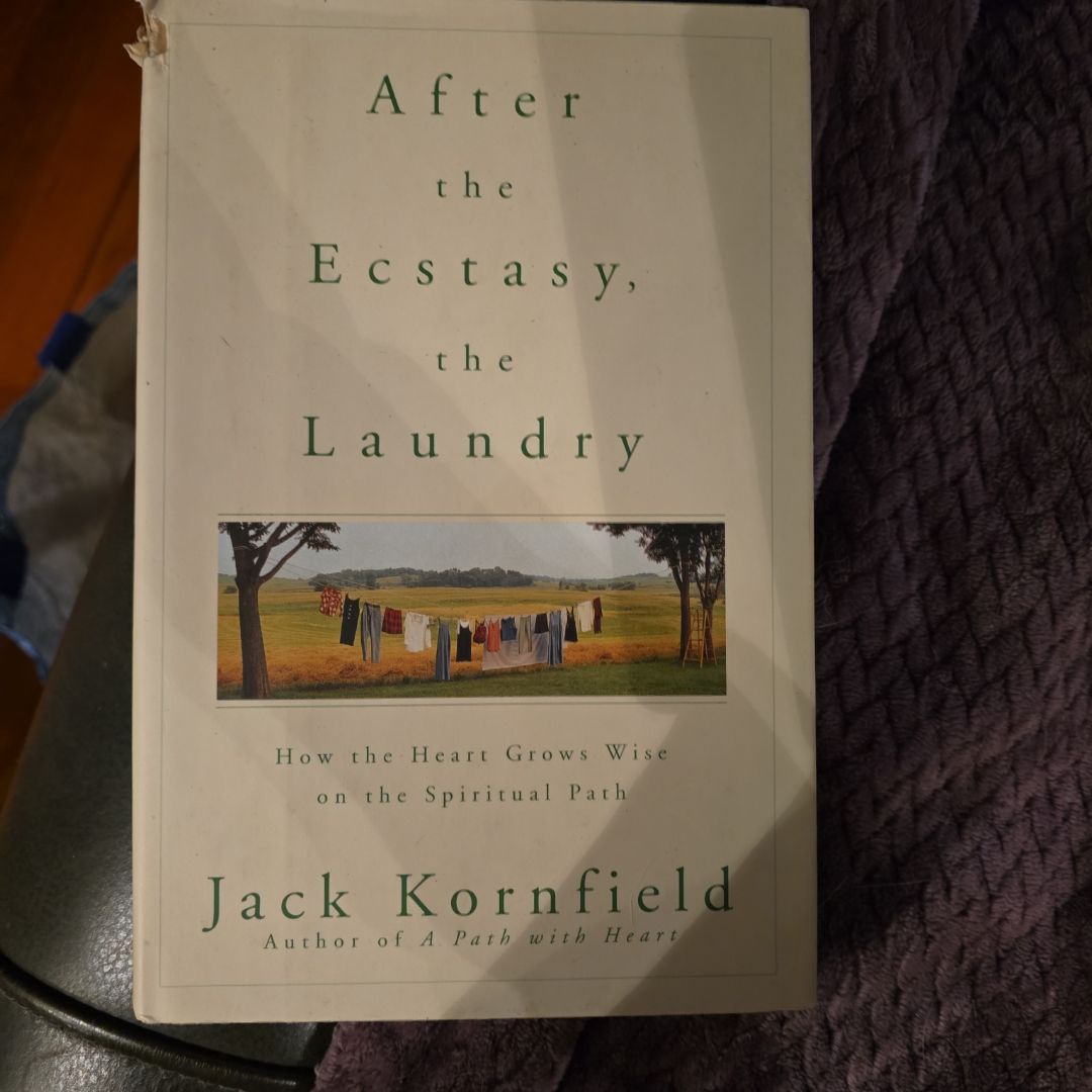 After the Ecstasy, the Laundry