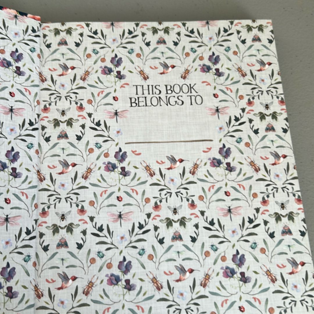 Beholding and Becoming