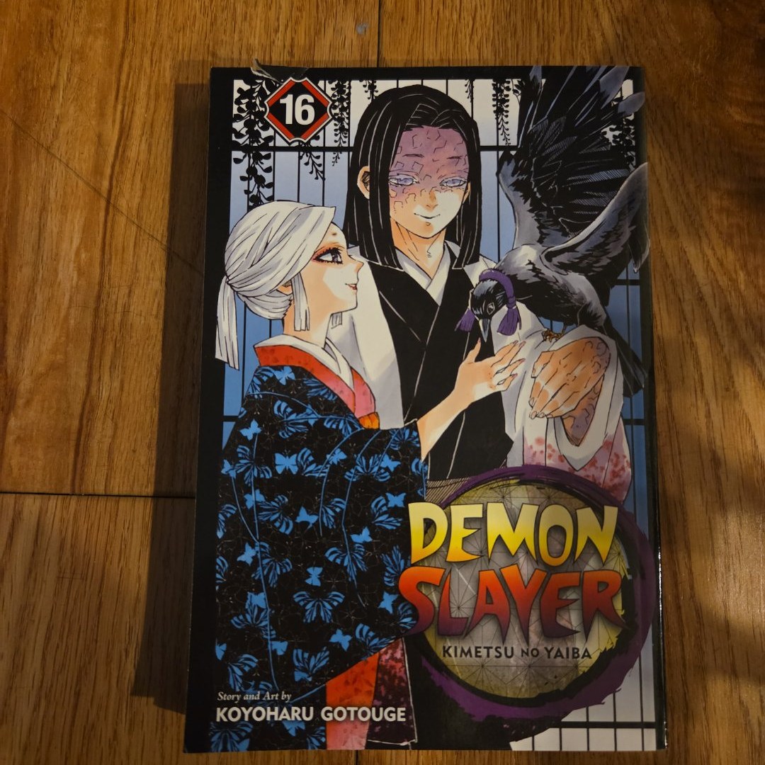 Demon Slayer Complete Box Set