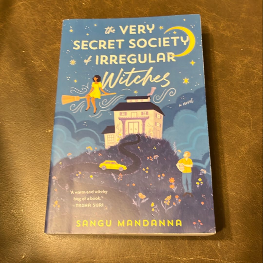 The Very Secret Society of Irregular Witches