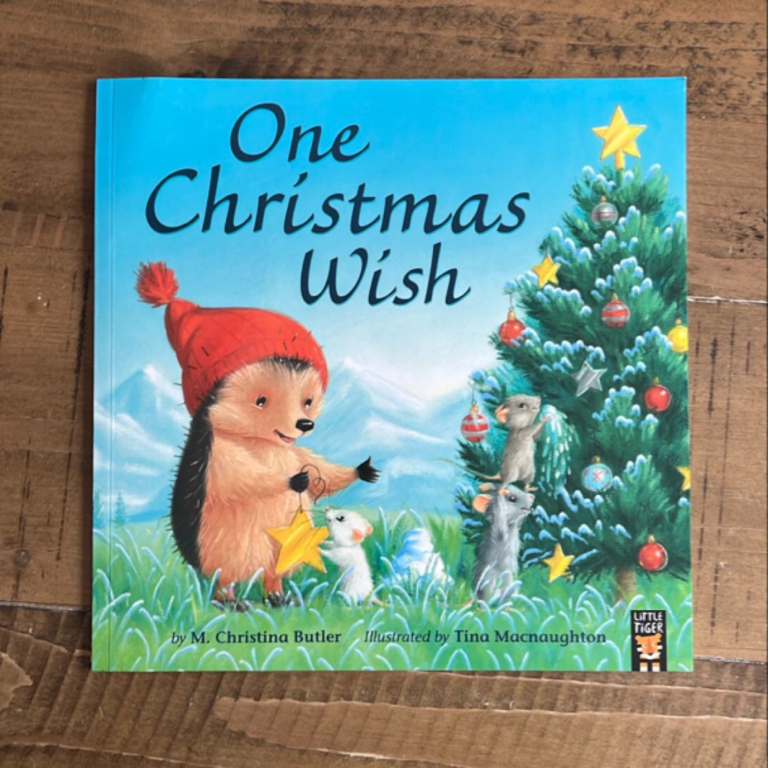 One Christmas Wish
