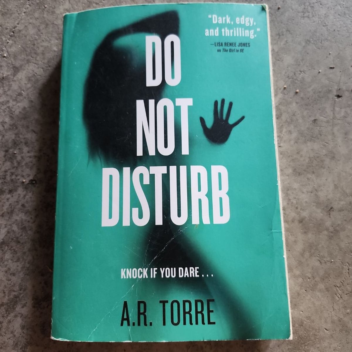 Do Not Disturb by A. R. Torre, Paperback | PangoBooks