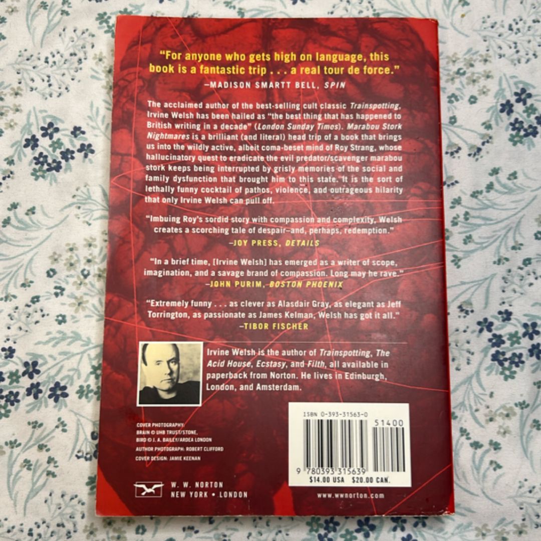 Marabou Stork Nightmares