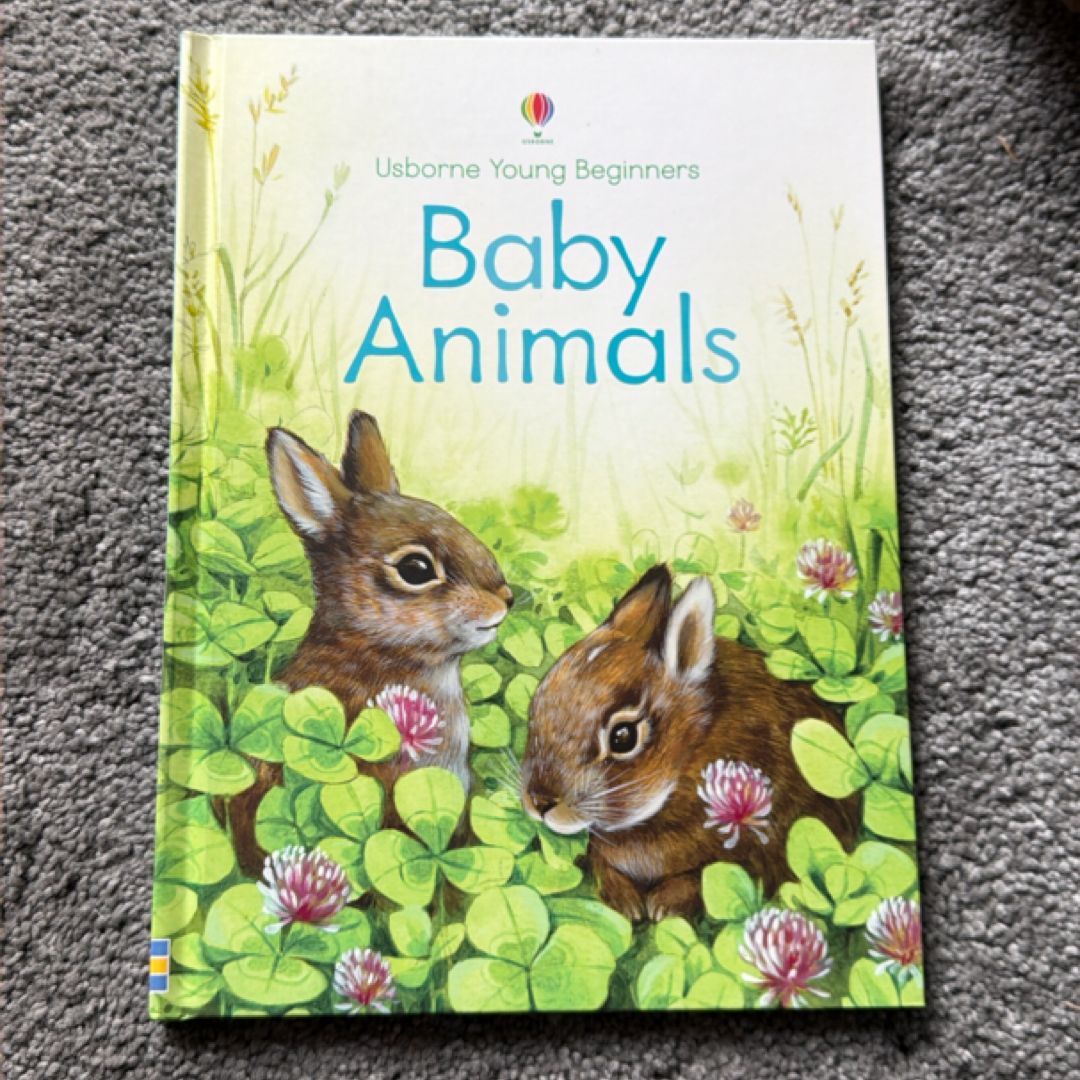 Usborne Young Begginners Baby Animals