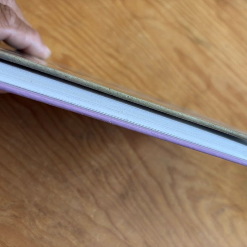 Last Summer with Maizon