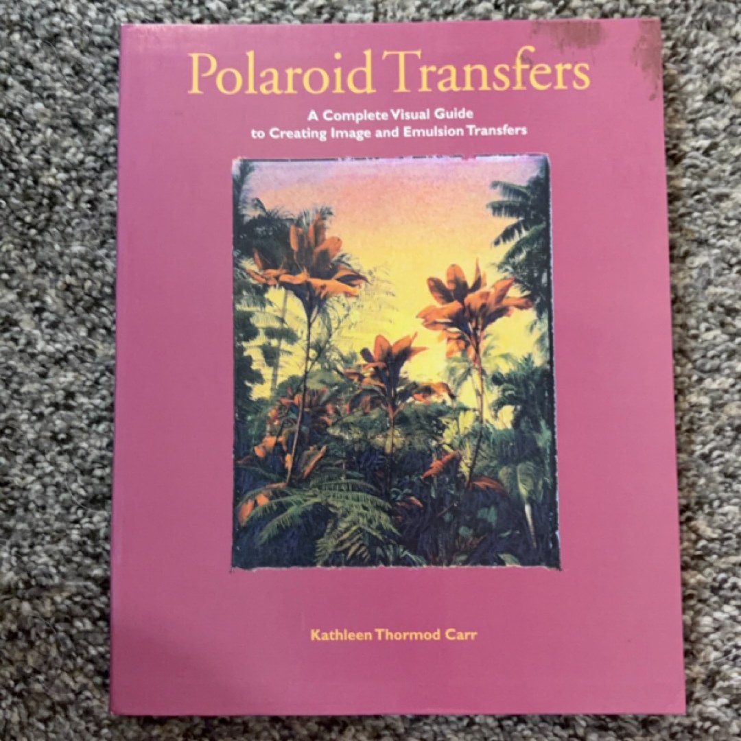 Polaroid Transfers