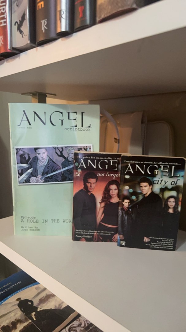 City of Angel Not forgotten and Scriptbook BUNDLE