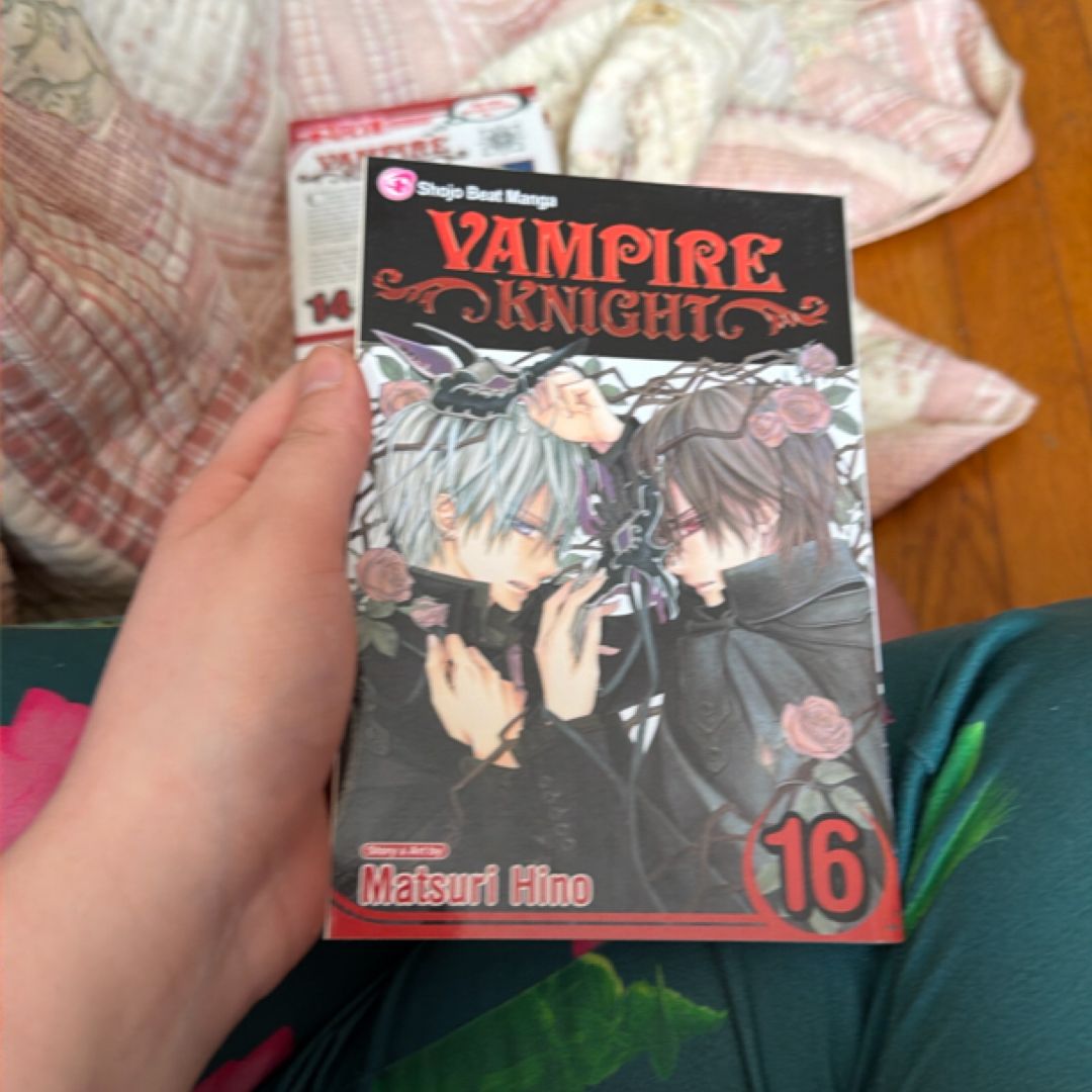 Vampire Knight, Vol. 16