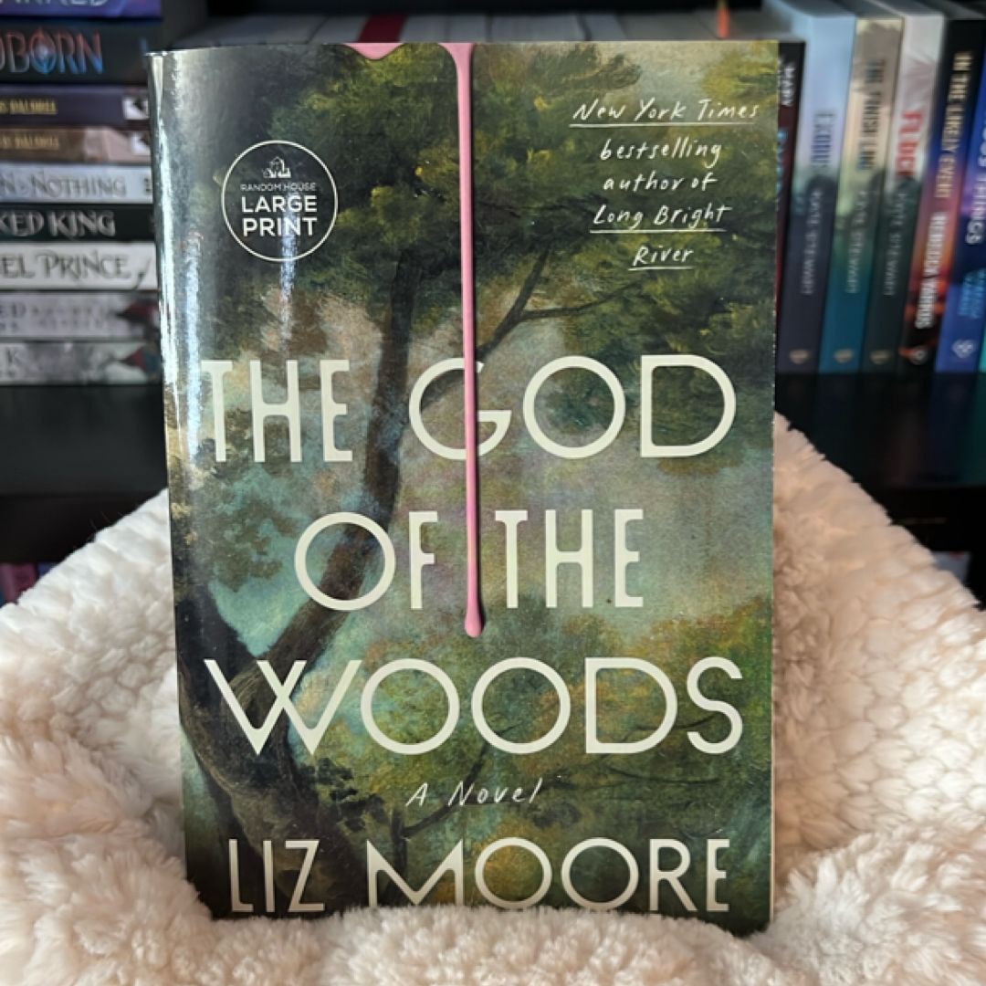 The God of the Woods (Large Print)