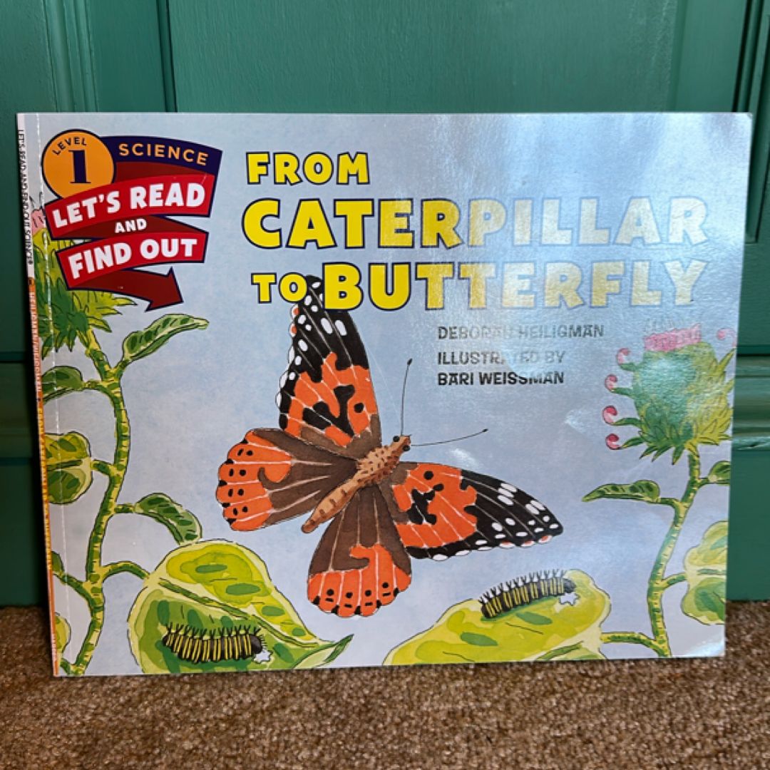 From Caterpillar to Butterfly