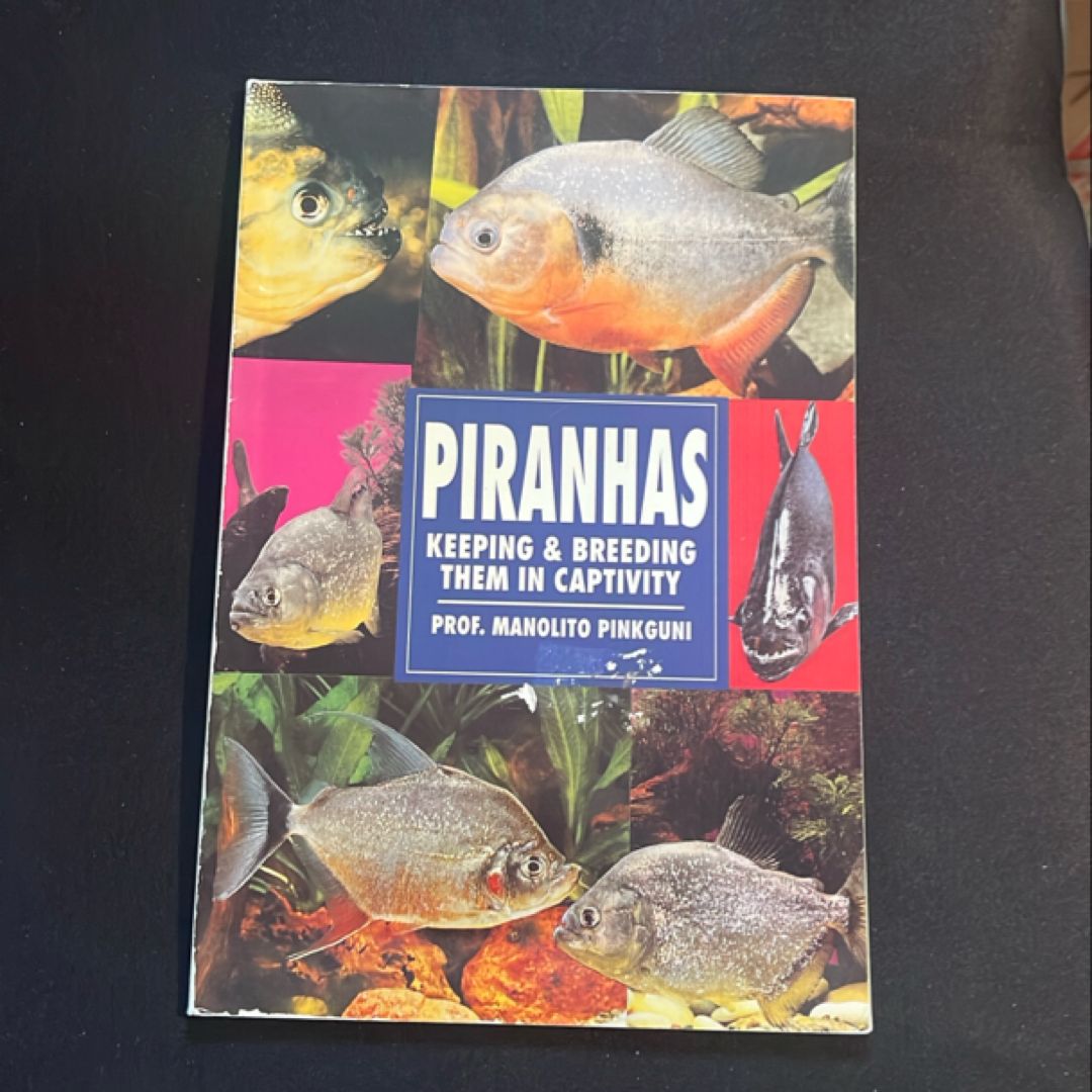 Piranhas, Keeping and Breeding Them in Captivity