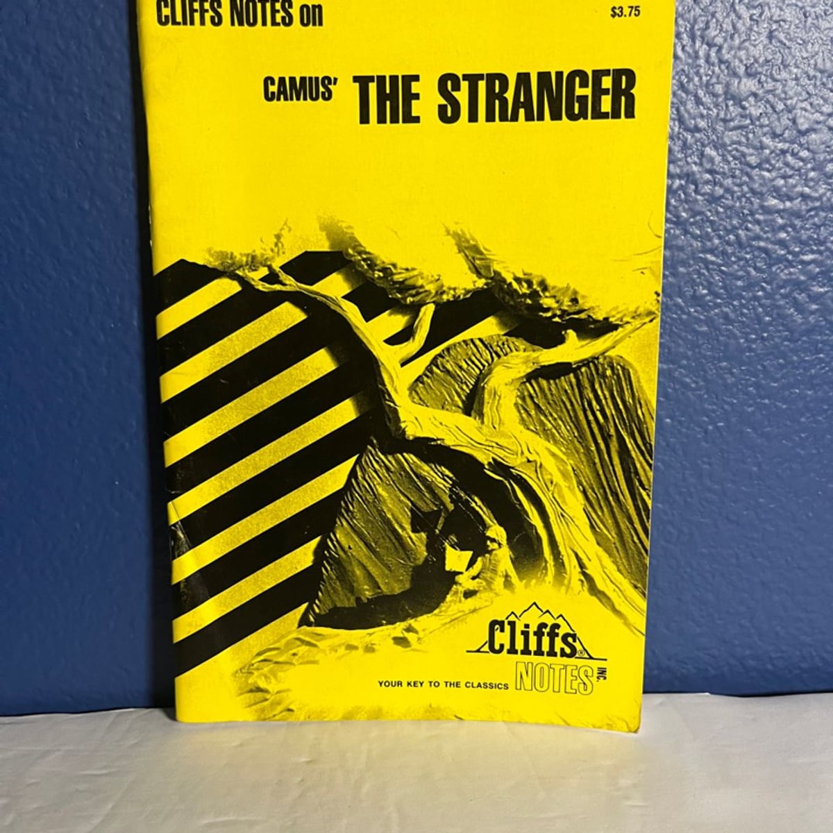 Stranger Notes by Gary Carey