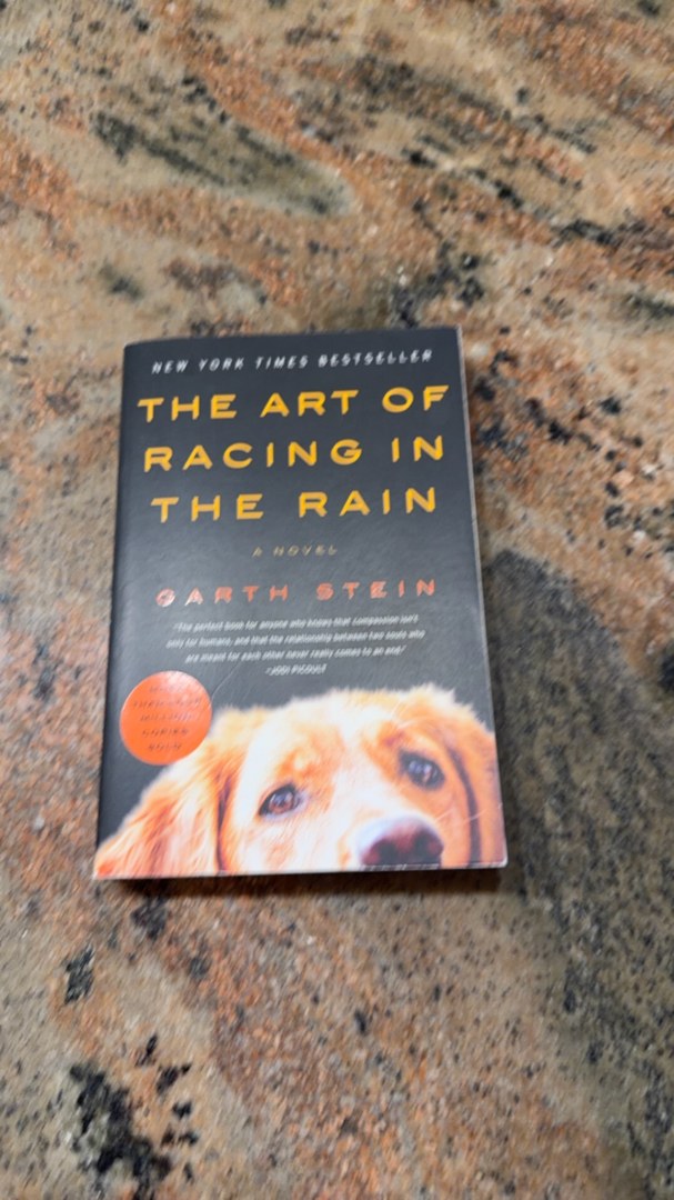 The Art of Racing in the Rain