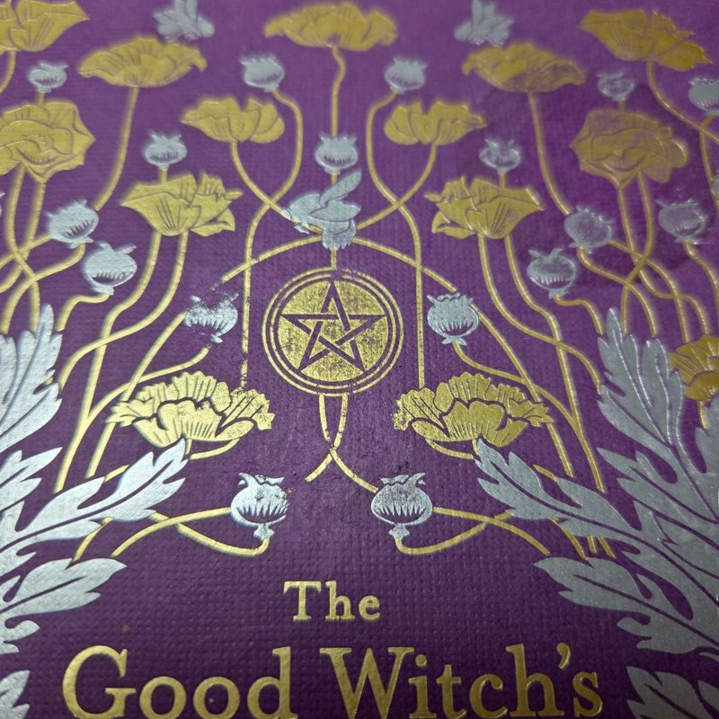 The Good Witch's Guide