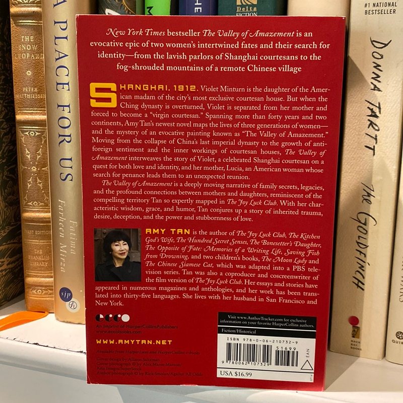 The Valley of Amazement