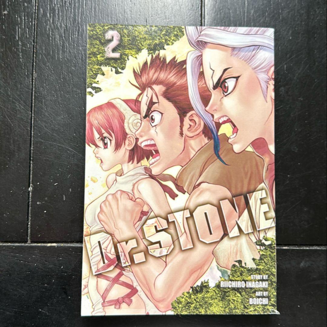 Dr. STONE, Vol. 2