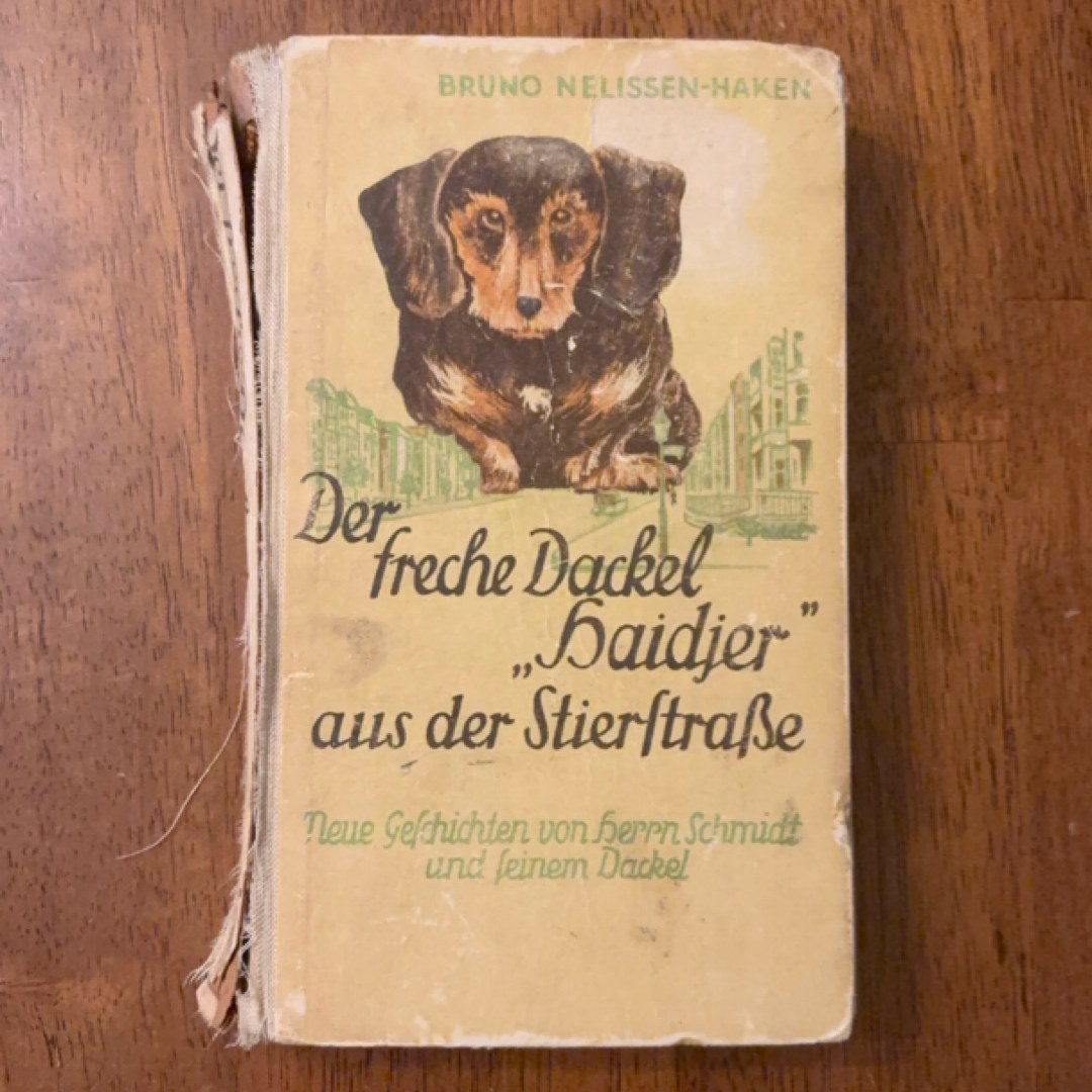 Der Freche Dackel “Haidjer” Aus Der Stierstraße