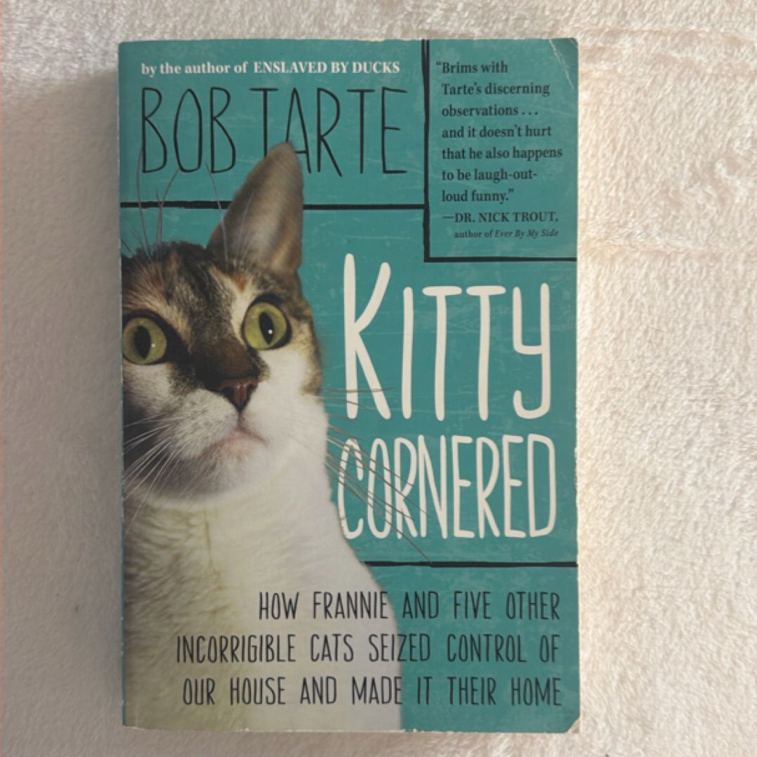 Kitty Cornered